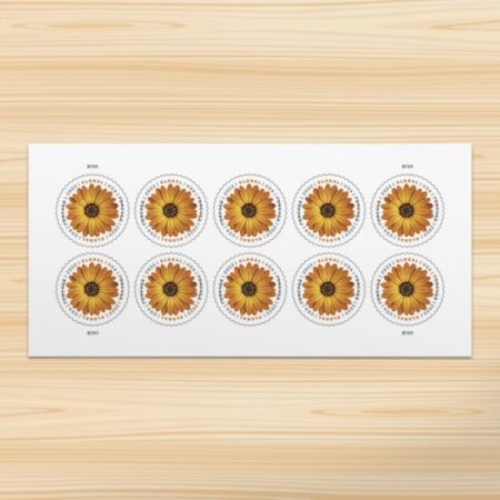 Flag Stamp Shop 580104 Z0 2026