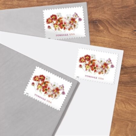 Flag Stamp Shop 580204 Z1 2026