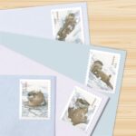 Shop Usps Otters In Discount Snow Forever Stamps Cheap In Bulk 2027