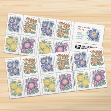 Flag Stamp Shop 683704 Z0 2026