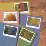 Shop Autumn Colors Stamps 0 2027