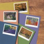 Shop Autumn Colors Stamps 0 2027