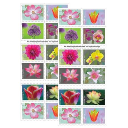 Flag Stamp Shop Ba5F30Ee1C54B6F2 2026