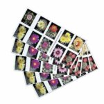 Shop Cheap Cactus Flowers Stamps Usps Forever Postage 1 2027