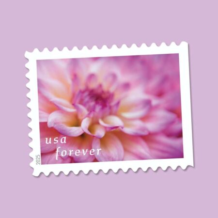 Flag Stamp Shop Dahlias Stamps 107 2026