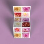 Shop Dahlias Stamps 350 2027