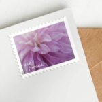 Shop Dahlias Stamps 350 2027
