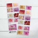 Shop Dahlias Stamps 350 2027