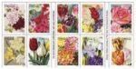 Shop Disocunt Usps Flower Botanical Art Stamps For Sale Cheap In Bulk 2027