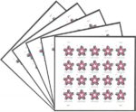 Shop Star Ribbon 2027