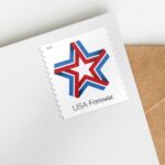 Shop Star Ribbon 2027