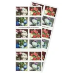 Shop Folowers From The Garden Cheap Forever Stamps For Sale On Bulk 1 2027