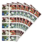 Shop Folowers From The Garden Cheap Forever Stamps For Sale On Bulk 1 2027