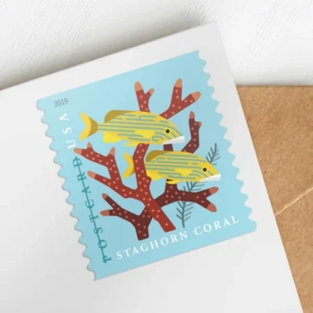 Flag Stamp Shop Forever Coral Reefs Postcard Stamps Cheap In Bulk 1 2026