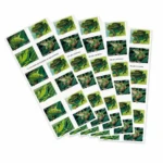 Shop Frogs Forever Stamps For Sale Discount Postage Cheap In Bulk 2027