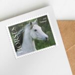 Shop Usps Horses Stamps 2027