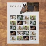 Shop Usps Horses Stamps 2027