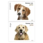 Shop Pets Cheap Forever Stamps In Bulk On Sale 2 2027