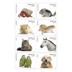 Shop Pets Cheap Forever Stamps In Bulk On Sale 2 2027