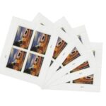 Shop Priority Mail Stamp 7 95 Castillo De San Marcos Stamps 2 2027