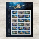 Shop Protect Sea Turtles Stamps 0 2027