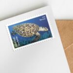Shop Protect Sea Turtles Stamps 0 2027