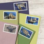 Shop Protect Sea Turtles Stamps 0 2027