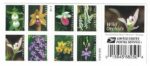 Shop Wild Orchids 2027