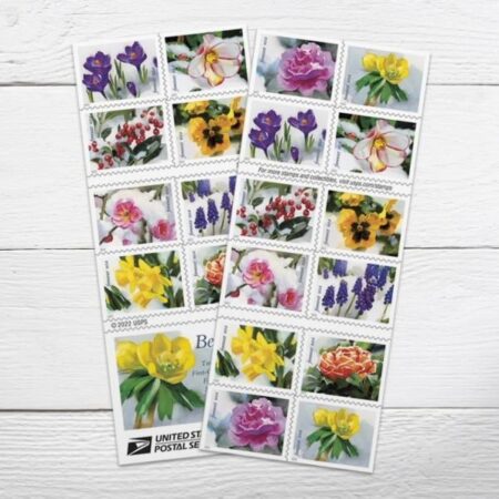 Flag Stamp Shop Snowy Beauty Stamps 2022 Cheap Forever 2 2026