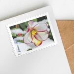 Shop Snowy Beauty Stamps 2022 Cheap Forever 1 2027