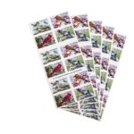 Shop Songbirds In Snow Forever Stamps 2027