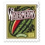 Shop Summer Harvest 2015 Cheap Discount Forever Stamps In Bulk Sale 1 2027