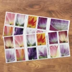Shop Tulip Blossoms Cheap Postage Forever 1Stamps 1 2027