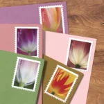 Shop Tulip Blossoms Cheap Postage Forever 1Stamps 1 2027