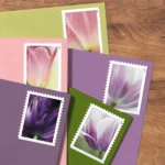Shop Tulip Blossoms Cheap Postage Forever 1Stamps 1 2027