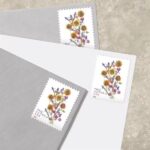 Shop Two Ounce Stamp 1 2027