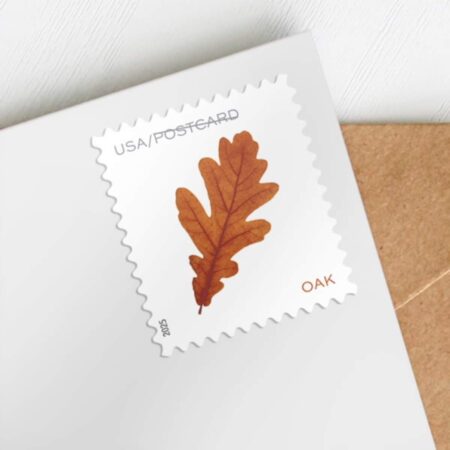 Flag Stamp Shop Vibrant Leaves Stamps Discount Postcard 2026