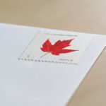 Shop Discount Postcard Cheap Vibrant Leaves Stamps 2027 2027