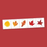 Shop Discount Postcard Cheap Vibrant Leaves Stamps 2027 2027