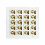 Shop White Rose Stamps Forever Discount Cheap In Bulk 2 2027