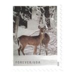 Shop Winter Scenes Stamps Cheap Forever Stamps In Bulk Sale 9 2027
