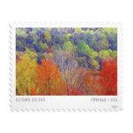 Shop Autumn Colors Stamps 0 2027