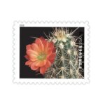 Shop Cheap Cactus Flowers Stamps Usps Forever Postage 1 2027