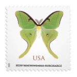 Shop Cheap Square Discount Non Machineable Luna Moth Stamps 2028 2027