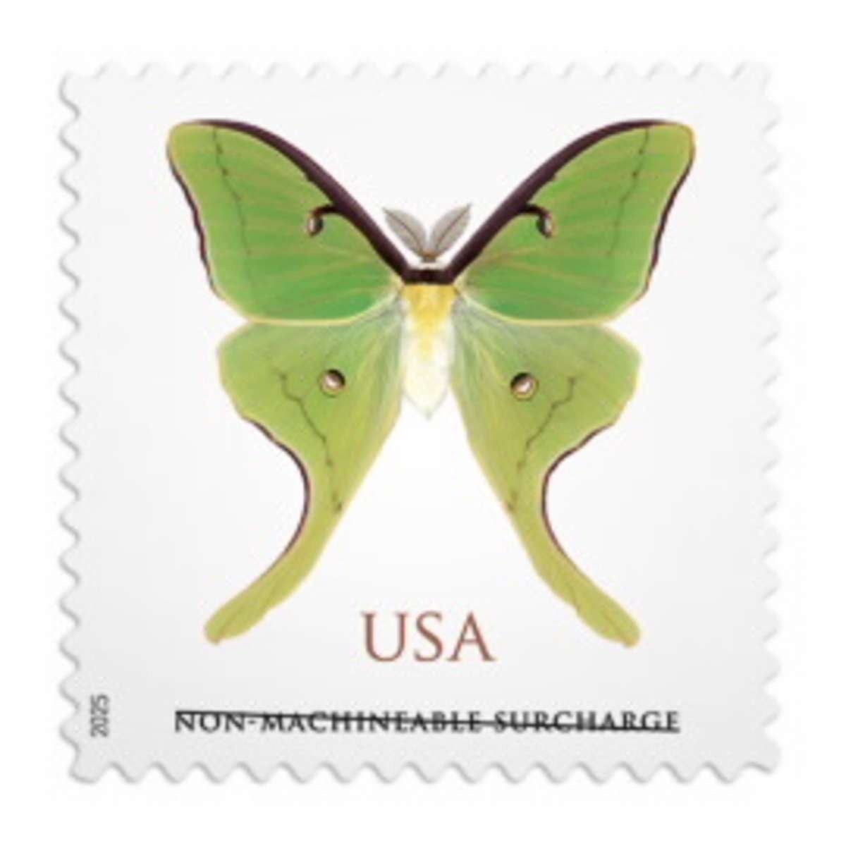 Shop Cheap Square Discount Non Machineable Luna Moth Stamps 2028 2027