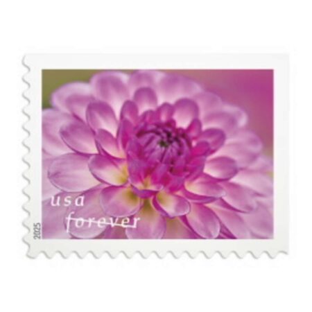 Shop Dahlias Stamps 350 2027