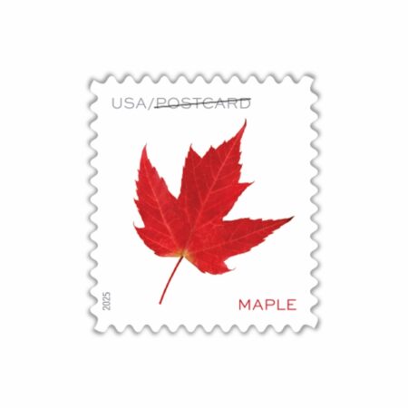 Shop Discount Postcard Cheap Vibrant Leaves Stamps 2027 2027