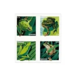 Shop Frogs Forever Stamps For Sale Discount Postage Cheap In Bulk 2027