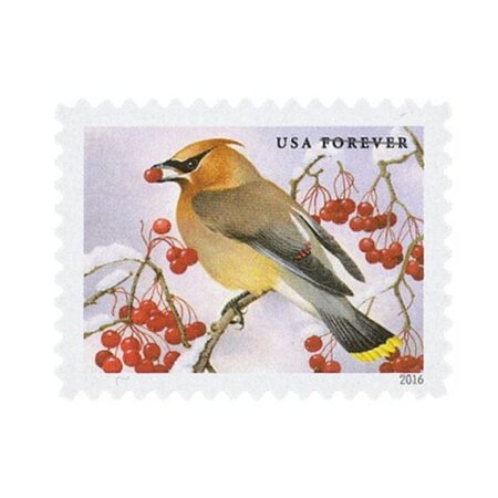 Shop Songbirds In Snow Forever Stamps 2027