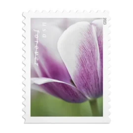 Shop Tulip Blossoms Cheap Postage Forever 1Stamps 1 2027